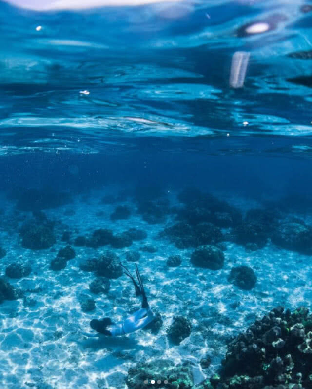 "เกรซ กาญจน์เกล้า" โชว์เซ็กซี่ใต้ทะเล 
ดำน้ำ Free Diving งานนี้ไม่เทพจริง ทำไม่ได้!