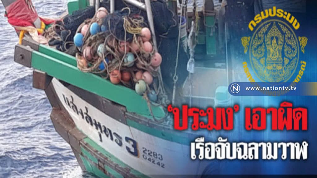 "กรมประมง"เอาผิดเรือจับฉลามวาฬ "กรมประมง"เอาผิดเรือจับฉลามวาฬ