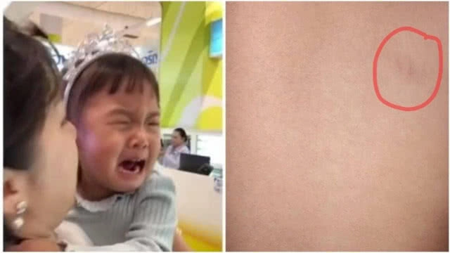 สาวในคลิปหยิก "เป่าเปา" ส่งจดหมายขอโทษ "กุ๊บกิ๊บ" ระบุเป็นแฟนคลับน้องตั้งแต่แรกเกิด