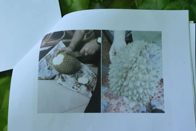 เชือดรายแรก! แจ้งจับพ่อค้าขายทุเรียนหลงลับแล "อ่อน-ปลอม"