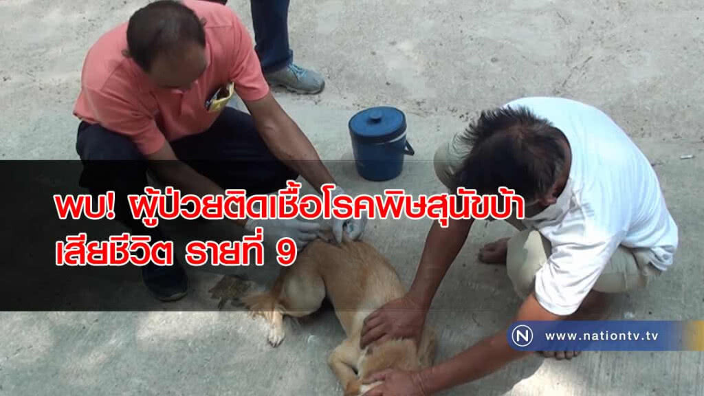พบ! ผู้ป่วยติดเชื้อโรคพิษสุนัขบ้าจนเสียชีวิต"รายที่ 9"