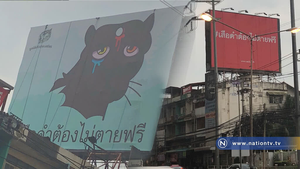 มูลนิธิสืบนาคะเสถียร ขึ้นป้ายโฆษณา #เสือดำต้องไม่ตายฟรี มูลนิธิสืบนาคะเสถียร ขึ้นป้ายโฆษณา #เสือดำต้องไม่ตายฟรี
