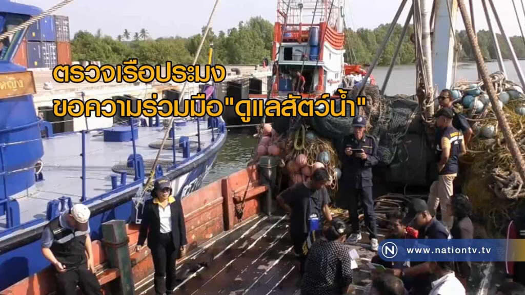 ตรวจ! เรือประมงพาณิชย์ ขอความร่วมมือ"ดูแลสัตว์น้ำ"