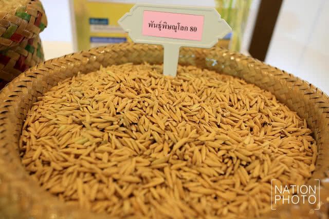 สมเด็จพระเทพฯ เสด็จฯ ทรงเปิดงาน "การประชุมวิชาการข้าวแห่งชาติ ครั้งที่ ๕ ประจำปี ๒๕๖๑"