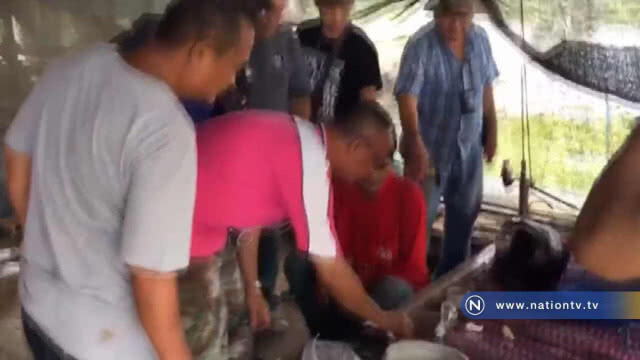 ตำรวจ "จู่โจม" บุกรวบเพื่อนคู่หู "เปิดรีสอร์ท" ขายยานรก