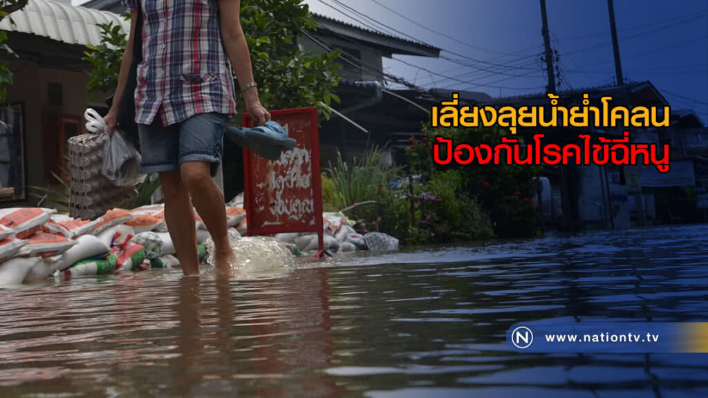 เลี่ยงลุยน้ำย่ำโคลน ป้องกันโรคไข้ฉี่หนู พบป่วยแล้ว 600 เสียชีวิต 4