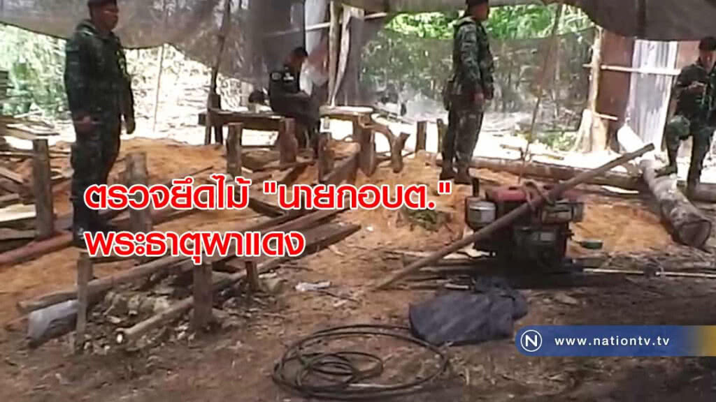 ตรวจยึด! ไม้นายกอบต.พระธาตุผาแดง ตรวจยึด! ไม้นายกอบต.พระธาตุผาแดง