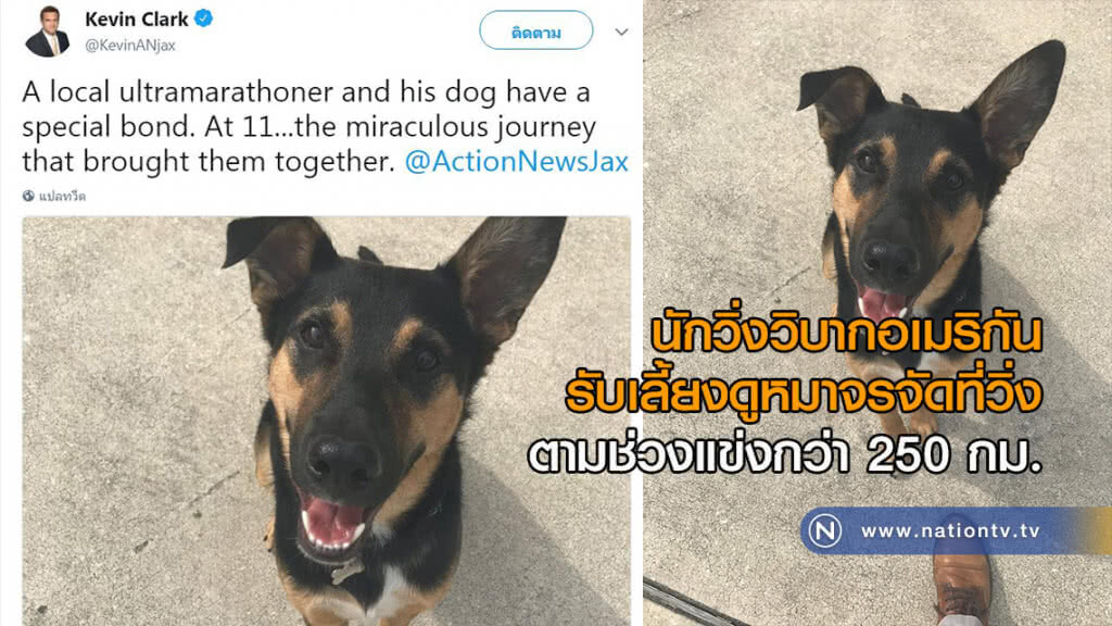 นักวิ่งวิบากอเมริกันรับเลี้ยงดูหมาจรจัดที่วิ่งตามช่วงแข่งกว่า 250 กม.