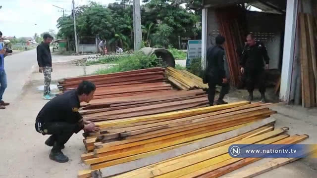 ตรวจยึด! ไม้นายกอบต.พระธาตุผาแดง