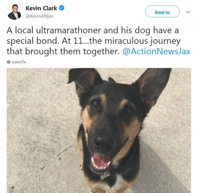 นักวิ่งวิบากอเมริกันรับเลี้ยงดูหมาจรจัดที่วิ่งตามช่วงแข่งกว่า 250 กม.