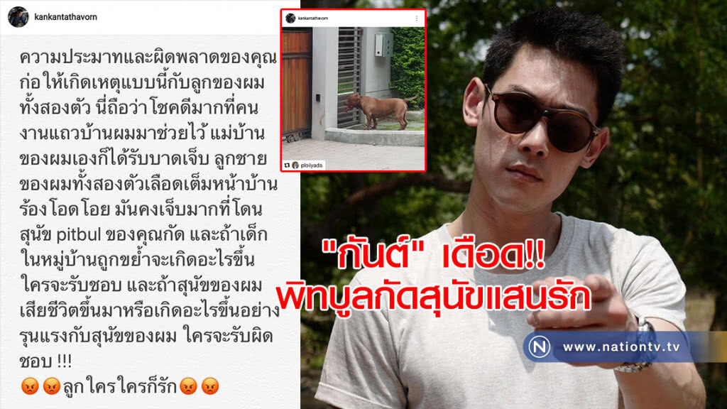 "กันต์" โพสต์เดือด หลังพิทบูลกัดสุนัขแสนรัก "กันต์" โพสต์เดือด หลังพิทบูลกัดสุนัขแสนรัก