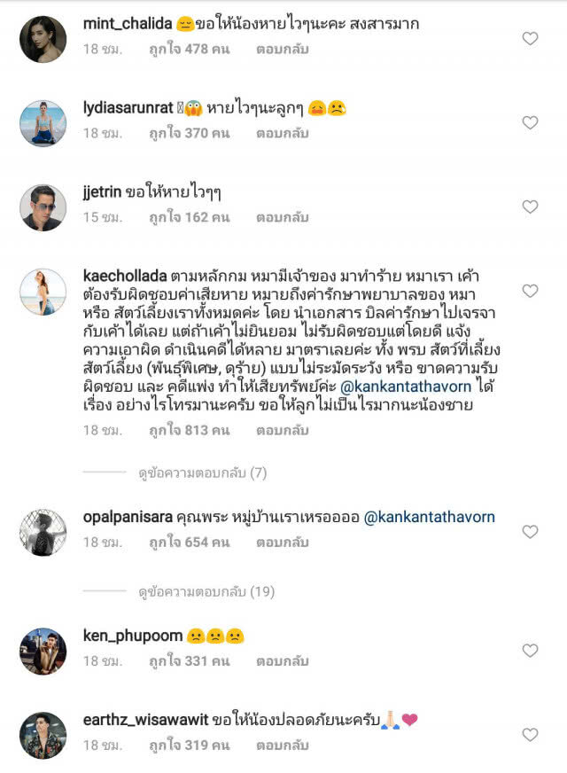 "กันต์" โพสต์เดือด หลังพิทบูลกัดสุนัขแสนรัก