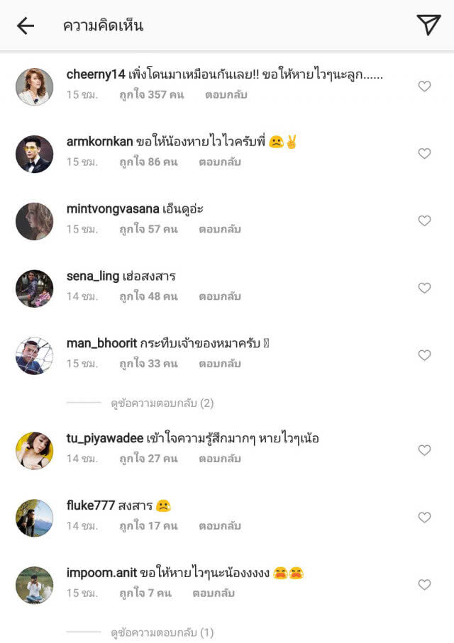 "กันต์" โพสต์เดือด หลังพิทบูลกัดสุนัขแสนรัก