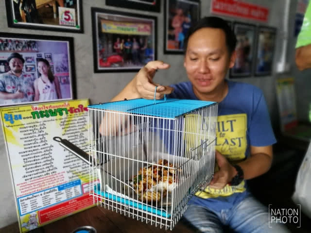 กะเพราวัดใจ