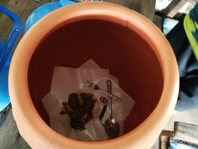 กะเพราวัดใจ