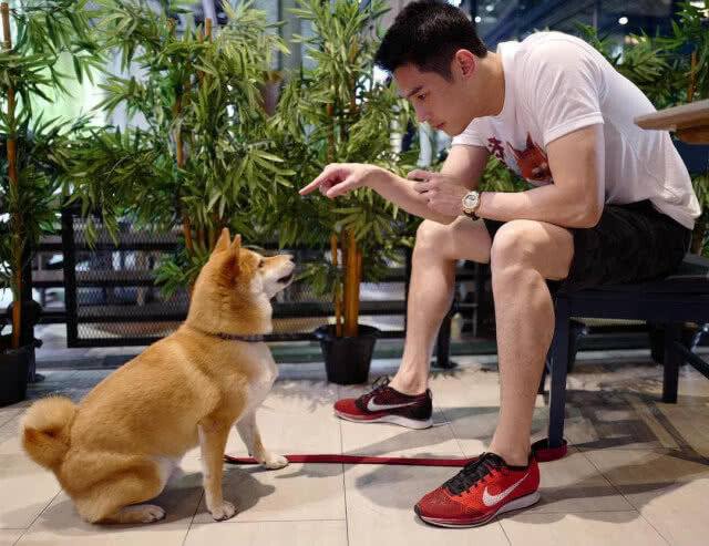 "กันต์" โพสต์เดือด หลังพิทบูลกัดสุนัขแสนรัก