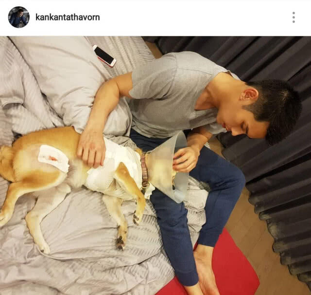 "กันต์" โพสต์เดือด หลังพิทบูลกัดสุนัขแสนรัก