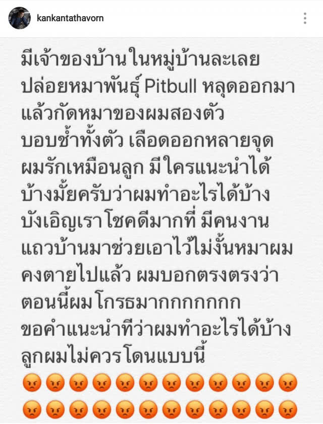 "กันต์" โพสต์เดือด หลังพิทบูลกัดสุนัขแสนรัก