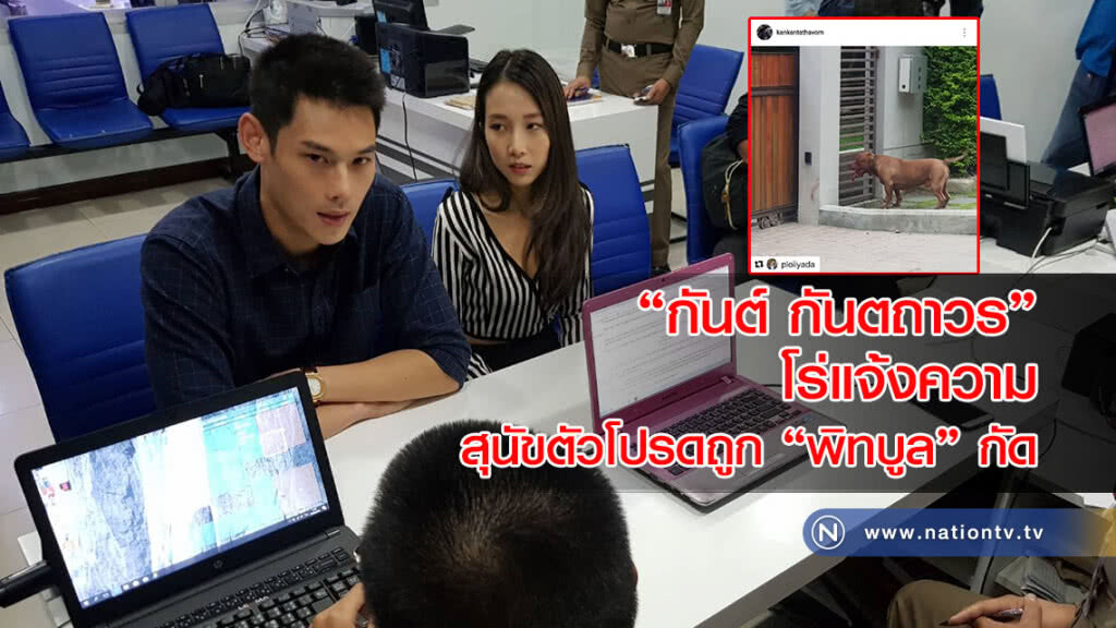 "กันต์ กันตถาวร" โร่แจ้งความ สุนัขตัวโปรด ถูก "พิทบูล" กัด "กันต์ กันตถาวร" โร่แจ้งความ สุนัขตัวโปรด ถูก "พิทบูล" กัด