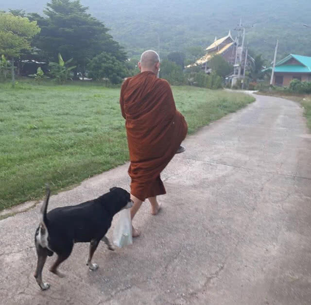 "สรยุทธ" รู้ซึ้งรสธรรมมะ"ลาสิกขา" แล้ว