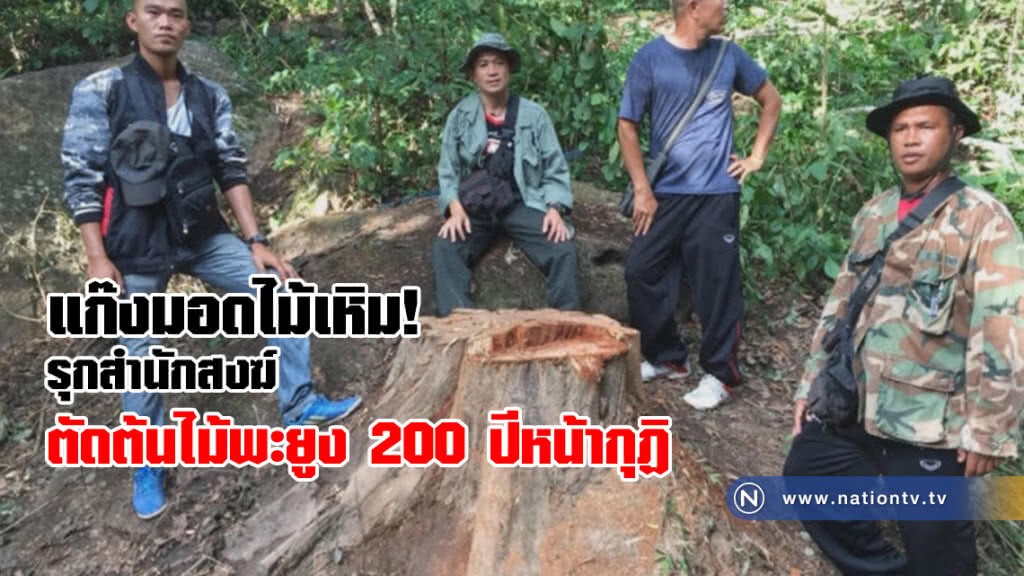 แก๊งมอดไม้บุกรุกสำนักสงฆ์กลางวันแสกๆตัดต้นไม้พะยูง 200 ปีหน้ากุฏิ