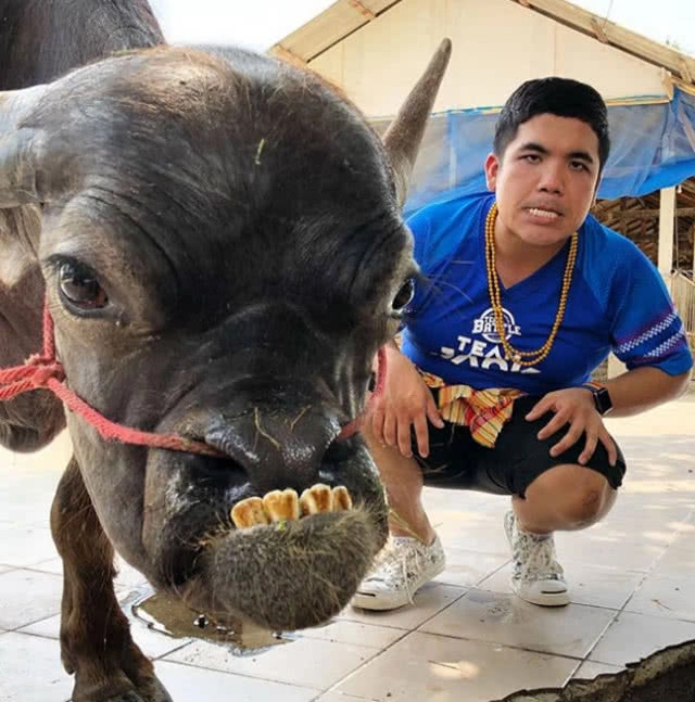 แจ็ค แฟนฉัน แต่งตัวให้เกียรติ "แฟนหงส์"ในกองถ่าย