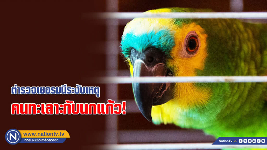 ตำรวจเยอรมนีระงับเหตุ คนทะเลาะกับนกแก้ว! ตำรวจเยอรมนีระงับเหตุ คนทะเลาะกับนกแก้ว!