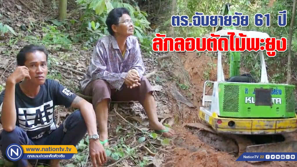 ตร.จับยายวัย 61 ปี ลักลอบตัดไม้พะยูง (คลิป) ตร.จับยายวัย 61 ปี ลักลอบตัดไม้พะยูง (คลิป)
