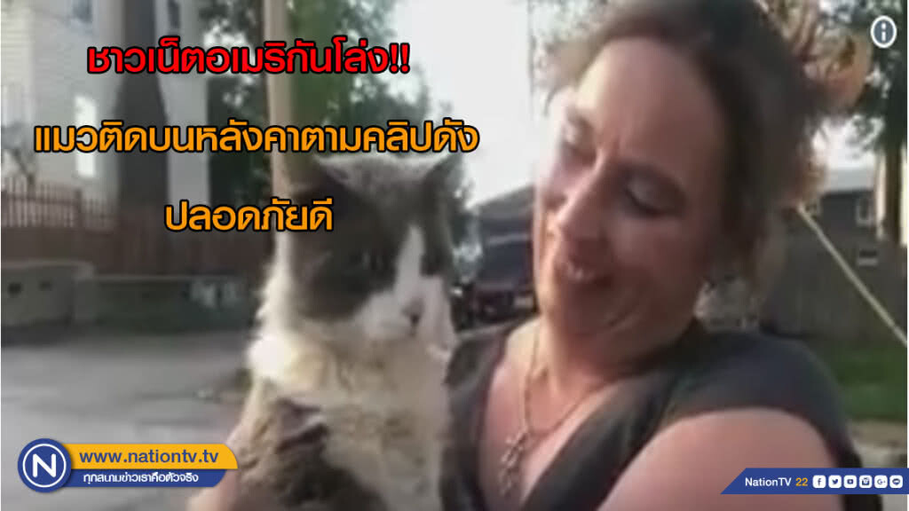 ชาวเน็ตโล่งใจเมื่อรู้ว่าแมวตัวที่ติดอยู่บนหลังคารถปลอดภัยดี ชาวเน็ตโล่งใจเมื่อรู้ว่าแมวตัวที่ติดอยู่บนหลังคารถปลอดภัยดี