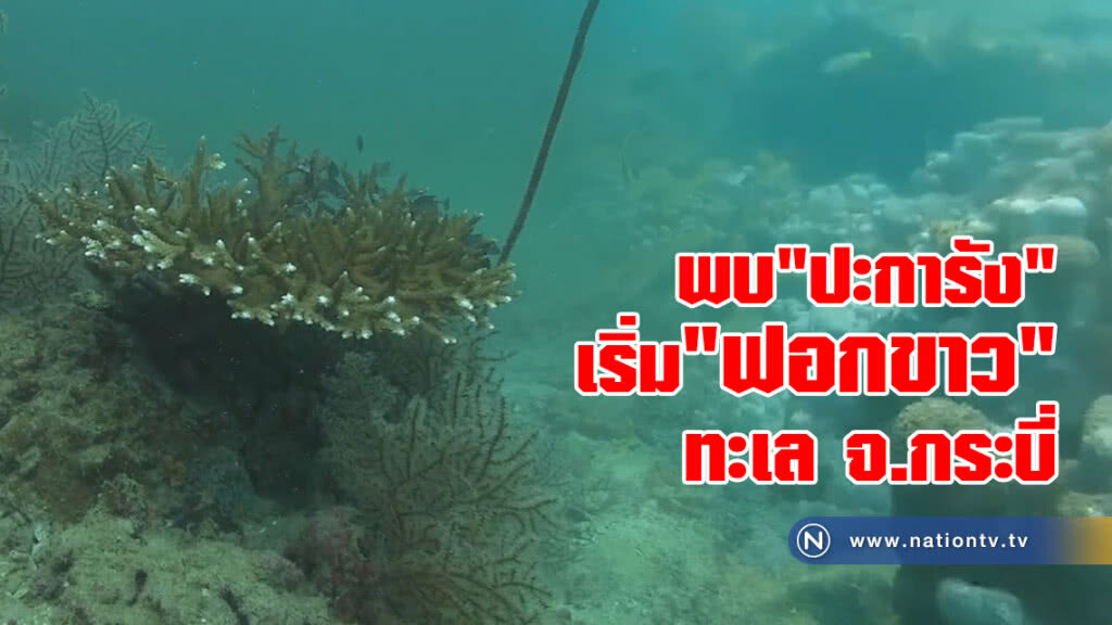 พบ"ปะการัง"เริ่ม"ฟอกขาว" เกาะยาวาสัม พบ"ปะการัง"เริ่ม"ฟอกขาว" เกาะยาวาสัม