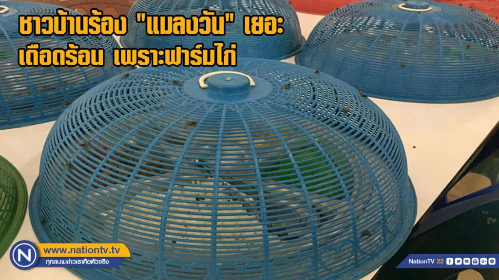 ชาวบ้านร้องแมลงวันเยอะทำนักเรียนและพระเดือดร้อน เพราะฟาร์มไก่