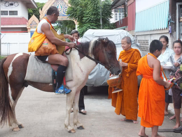 ไม่ง้อน้ำมันแพงเด็กวัด "ขี่ม้า" ช่วยหลวงตาบิณฑบาต