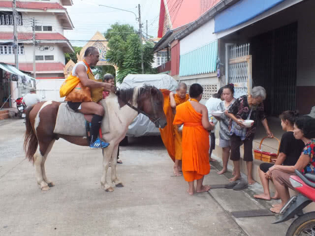 ไม่ง้อน้ำมันแพงเด็กวัด "ขี่ม้า" ช่วยหลวงตาบิณฑบาต