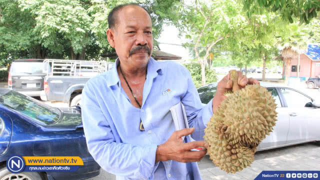 พ่อค้าเครียด !! หนอนเจาะทุเรียนทั้งคันสูญเงินกว่าแสนบาท