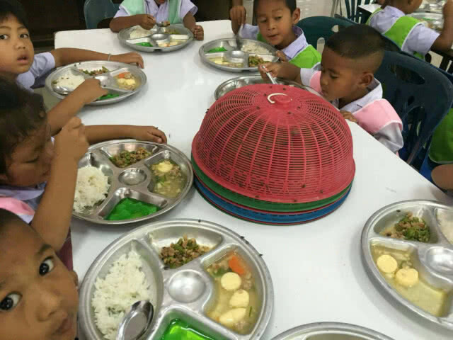 ชาวบ้านร้องแมลงวันเยอะทำนักเรียนและพระเดือดร้อน เพราะฟาร์มไก่