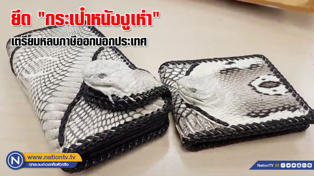 (คลิป)จนท.ด่านตรวจสัตว์ป่าสุวรรณภูมิ ยึด "กระเป๋าหนังงูเห่า" เตรียมหลบภาษีออกนอกประเทศ (คลิป)จนท.ด่านตรวจสัตว์ป่าสุวรรณภูมิ ยึด "กระเป๋าหนังงูเห่า" เตรียมหลบภาษีออกนอกประเทศ