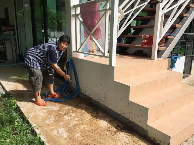 ขนลุก! ตะเข็บนับแสนบุกโฮมสเตย์นานกว่า 1 เดือน วอนหน่วยงานที่เกี่ยวข้องช่วยเหลือ