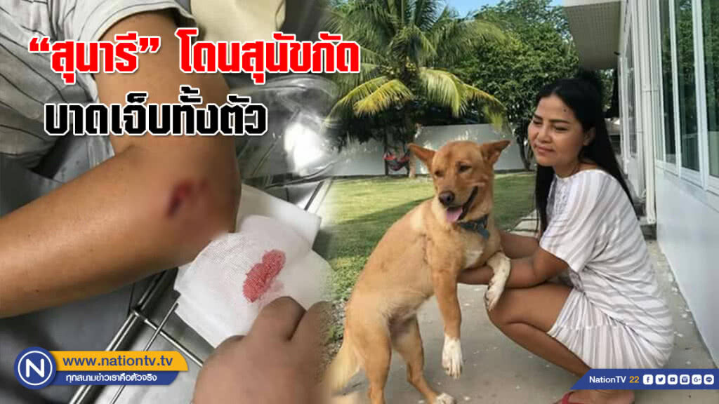 "สุนารี" โดนสุนัขกัดเจ็บหนัก นำส่งรพ.
