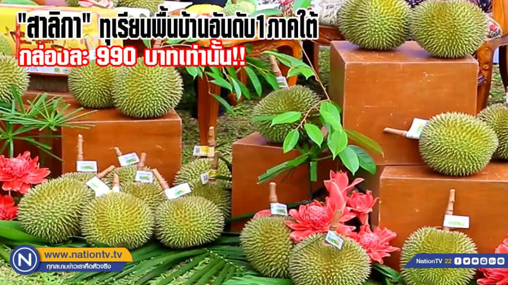 เปิดจองทั่วไทย..สาลิกาทุเรียนพื้นบ้านอันดับ1ภาคใต้ กล่องละ 990 บาทเท่านั้น(มีคลิป)