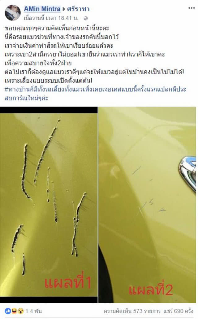 โอละพ่อ !! เพื่อนบ้านโวยแมวข่วนรถ สุดท้ายพบเป็นหมาจรจัด