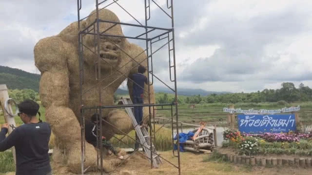 "ห้วยตึงเฒ่า" ดังไม่หยุดสร้างจุดเซลฟี่ "หุ่นฟางคิงคองยักษ์" แห่งแรกในเชียงใหม่(มีคลิป)