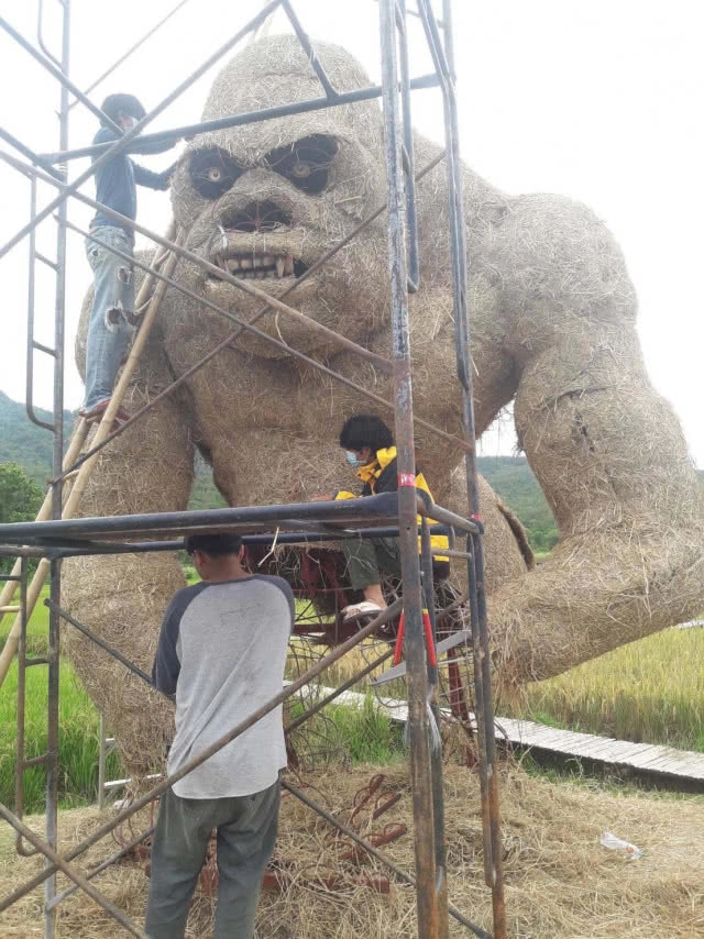 "ห้วยตึงเฒ่า" ดังไม่หยุดสร้างจุดเซลฟี่ "หุ่นฟางคิงคองยักษ์" แห่งแรกในเชียงใหม่(มีคลิป)