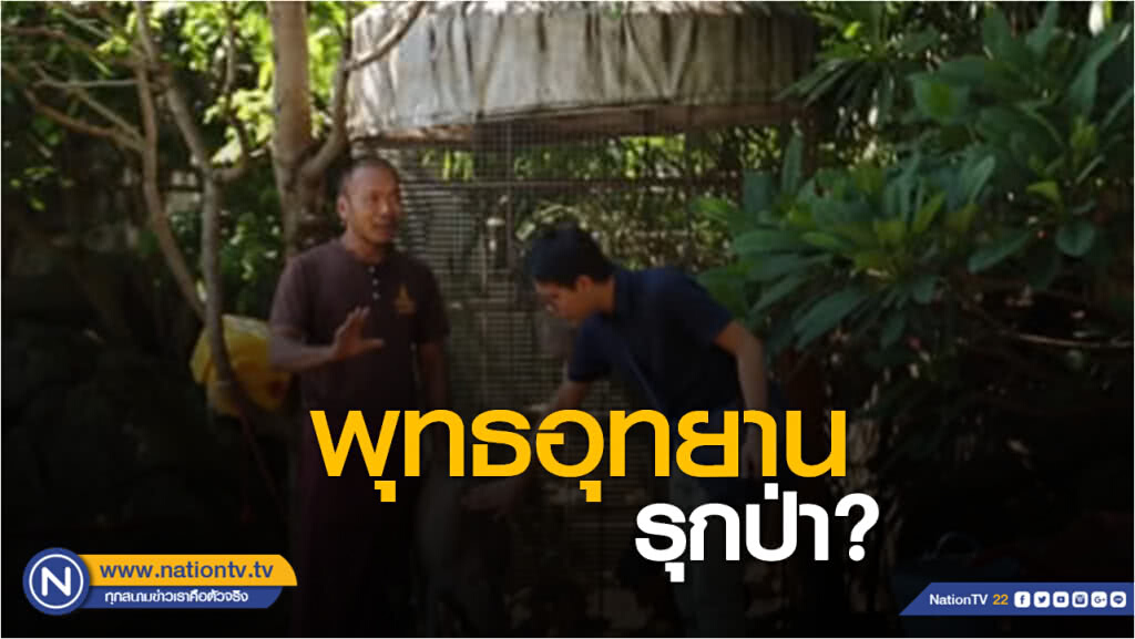 รักโลก by วชิรวิทย์ | พุทธอุทยาน รุกป่า