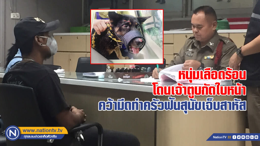 หนุ่มเลือดร้อนโดนเจ้าตูบกัดใบหน้า คว้ามีดทำครัวฟันสุนัขเจ็บสาหัส หนุ่มเลือดร้อนโดนเจ้าตูบกัดใบหน้า คว้ามีดทำครัวฟันสุนัขเจ็บสาหัส