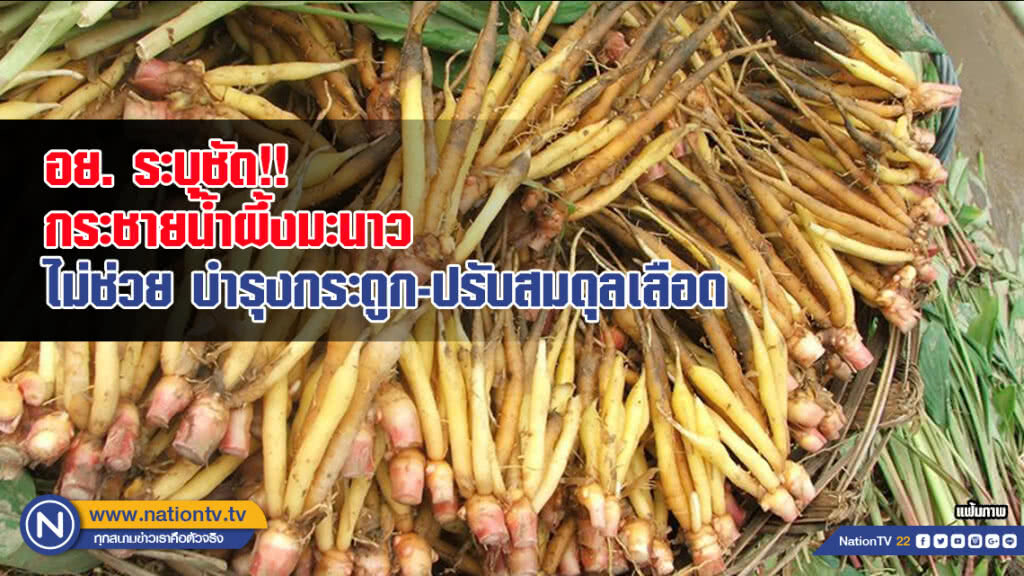 อย. ระบุชัด!! กระชายน้ำผึ้งมะนาว ไม่ช่วย บำรุงกระดูก-ปรับสมดุลเลือด อย. ระบุชัด!! กระชายน้ำผึ้งมะนาว ไม่ช่วย บำรุงกระดูก-ปรับสมดุลเลือด