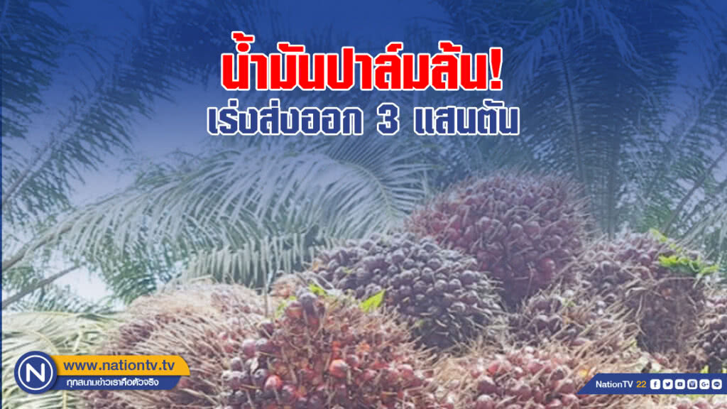 น้ำมันปาล์มล้น! เร่งส่งออก 3 แสนตัน
