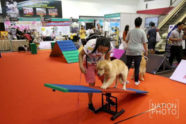 คนรักสัตว์แน่น! พาสัตว์เลี้ยงชมงาน Pet Expo Thailand 2018