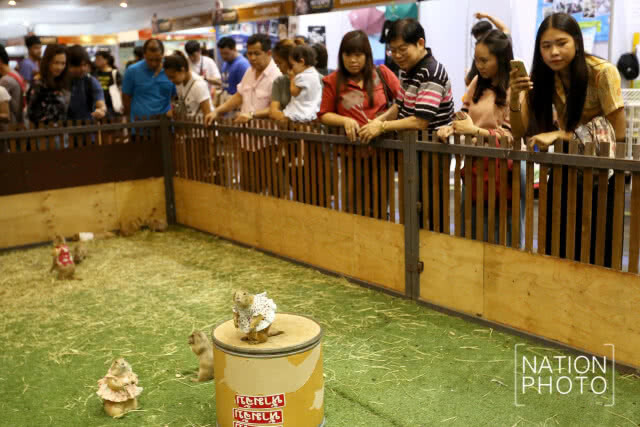 คนรักสัตว์แน่น! พาสัตว์เลี้ยงชมงาน Pet Expo Thailand 2018