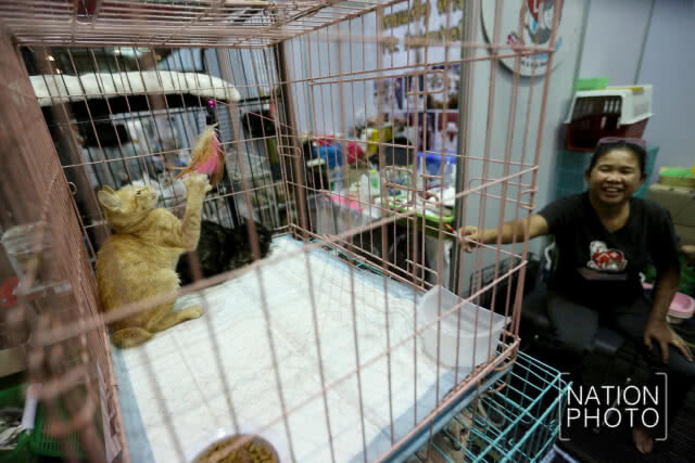คนรักสัตว์แน่น! พาสัตว์เลี้ยงชมงาน Pet Expo Thailand 2018