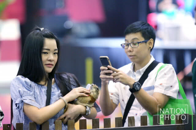 คนรักสัตว์แน่น! พาสัตว์เลี้ยงชมงาน Pet Expo Thailand 2018